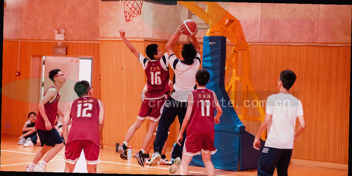 会员中心两栏版面示意：左栏是逐条排列的权益说明清单，右栏是对号码入口，中间用一条金色竖线分隔